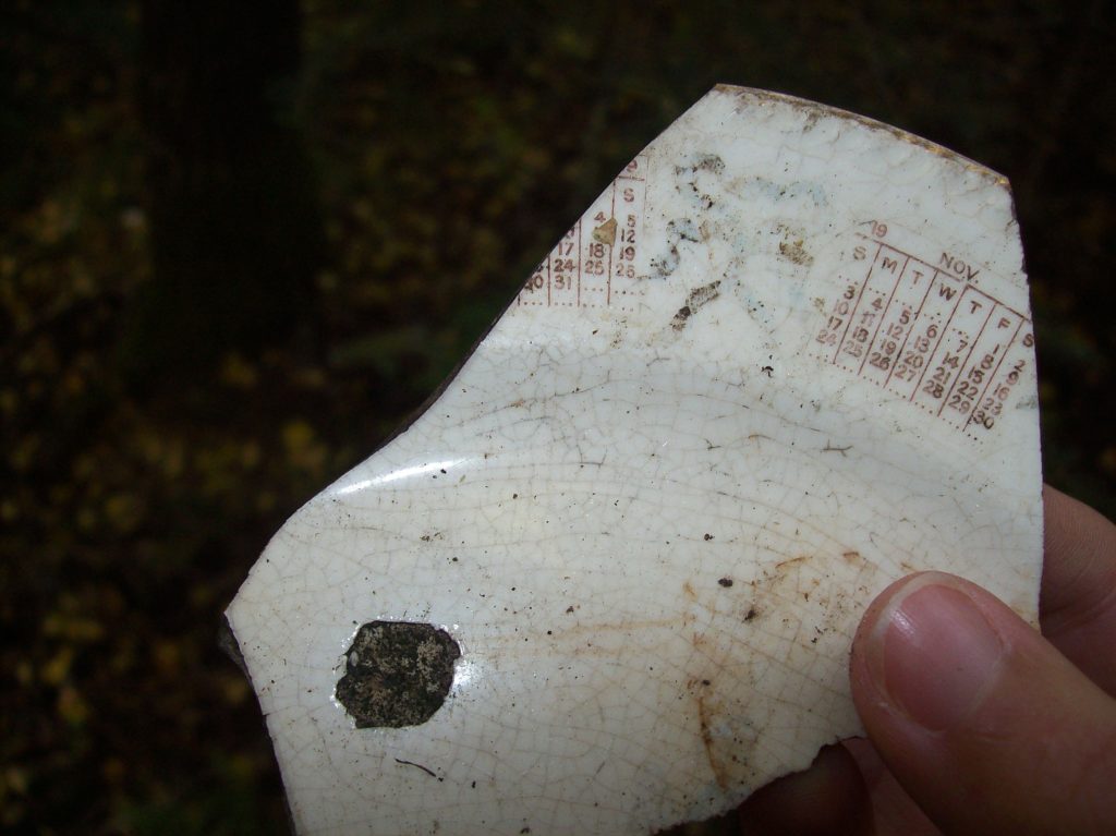 Plate fragment found at the site